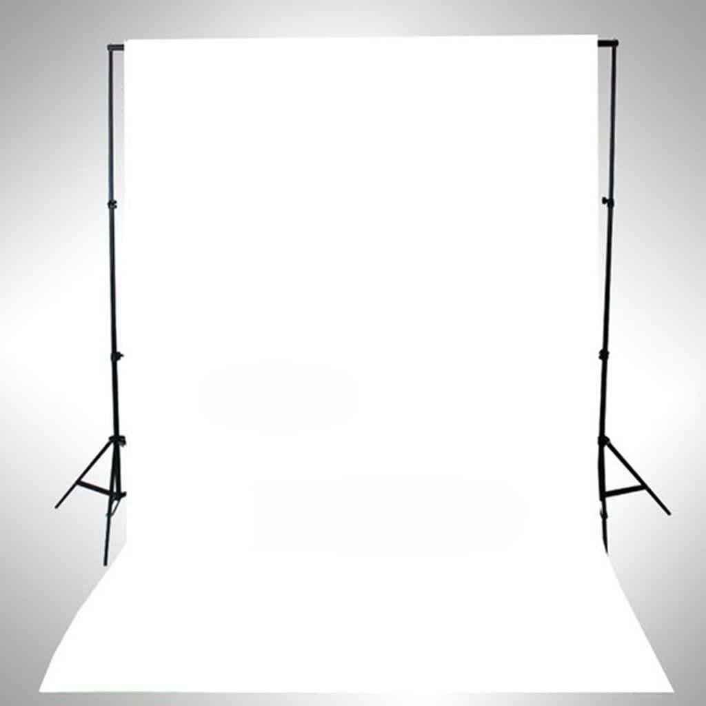 vidaXL Κιτ Φωτισμού Φωτογραφικού Στούντιο με Softbox και Φόντο