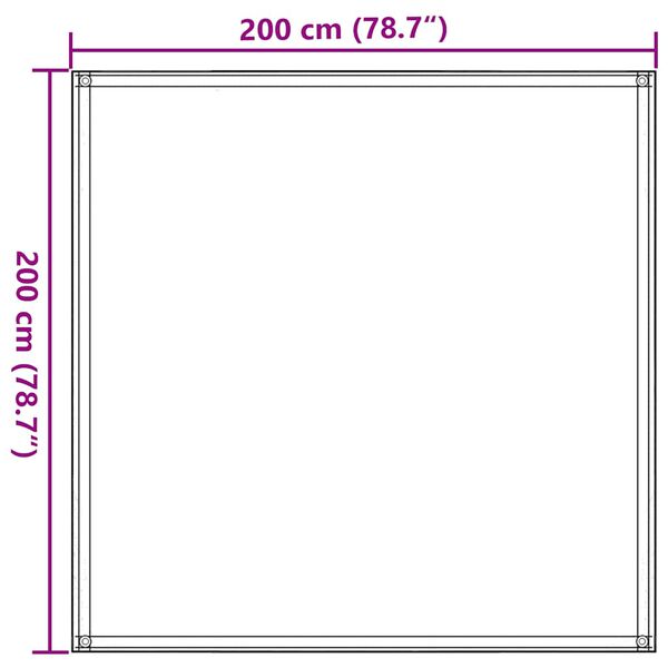 vidaXL Χαλί Σκηνής Ανοιχτό Πράσινο 200x200 εκ. από HDPE