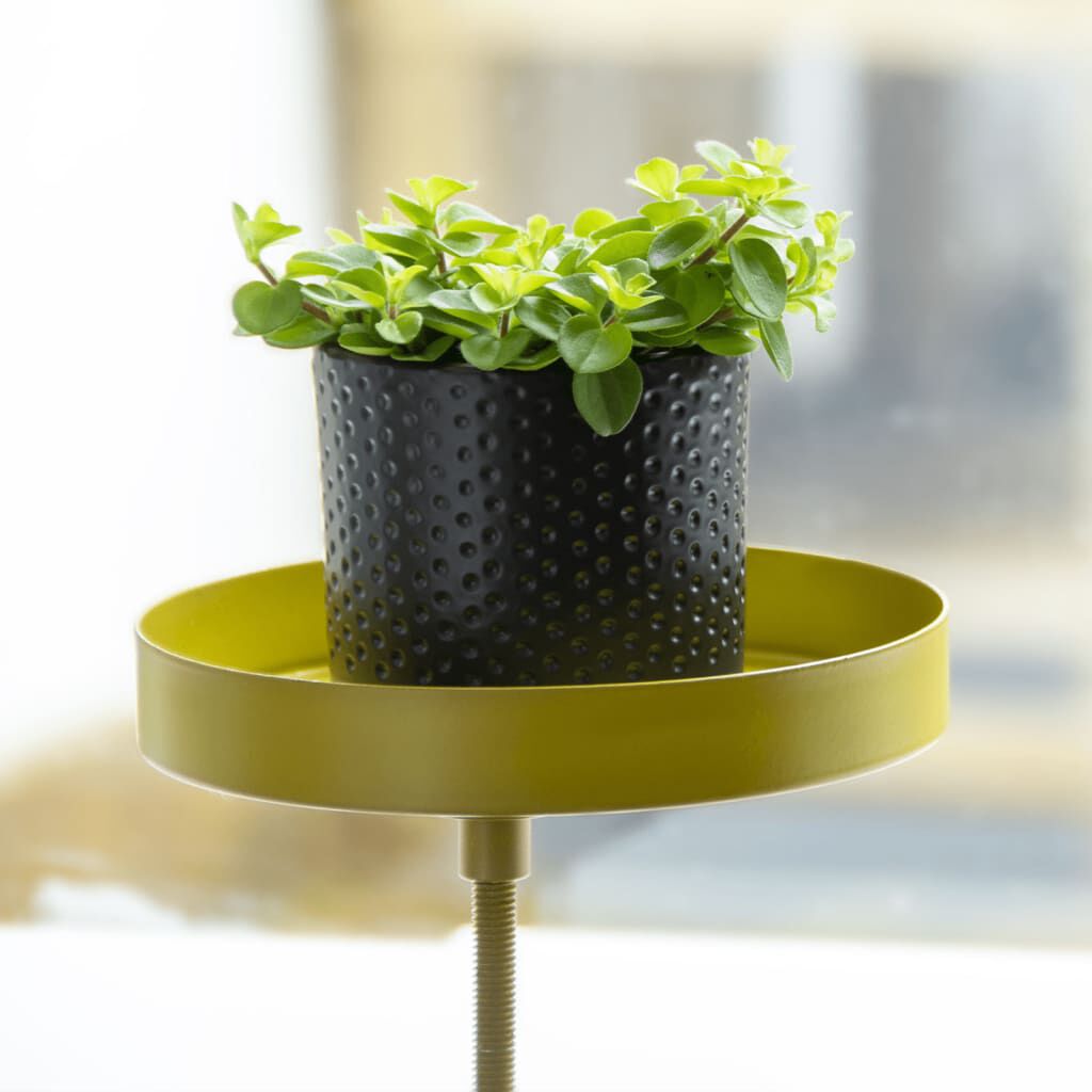 Esschert Design Δίσκος Φυτών με Σφιγκτήρα Στρογγυλός Χρυσός