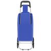 vidaXL Καρότσι Αγορών Μπλε 39.5 x 33 x 93 εκ Ύφασμα Oxford