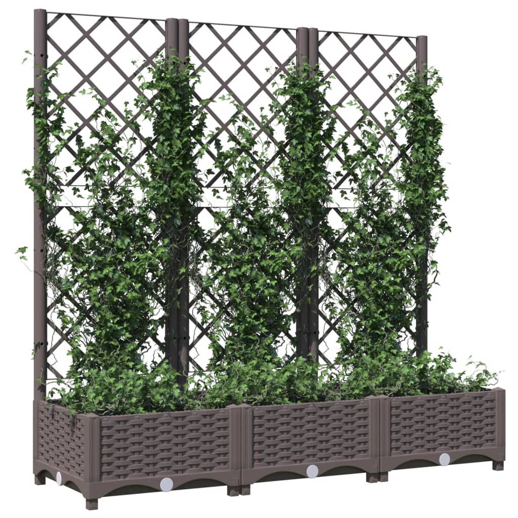 vidaXL Ζαρντινιέρα Κήπου με Καφασωτό Καφέ 120 x 40 x 121,5 εκ. από PP