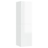High_gloss_white