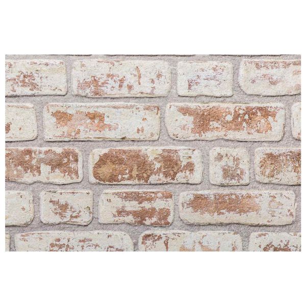 vidaXL &Pi;ά&nu;&epsilon;&lambda; &tau;&omicron;ί&chi;&omicron;&upsilon; 10 pcs &Kappa;ό&kappa;&kappa;&iota;&nu;&omicron; &kappa;&alpha;&iota; &Lambda;&epsilon;&upsilon;&kappa;ό 100 x 50 cm &Alpha;&phi;&rho;ό&sigmaf; EPS