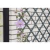 Nature Καφασωτό Κήπου Ανθρακί 50 x 150 εκ. από PVC