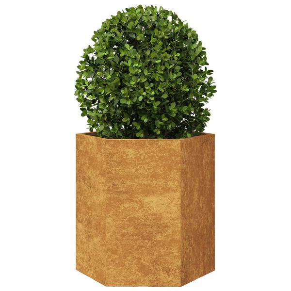 vidaXL Ζαρντινιέρα Κήπου Εξάγωνη 46x40x45 εκ. Χάλυβας καιρού