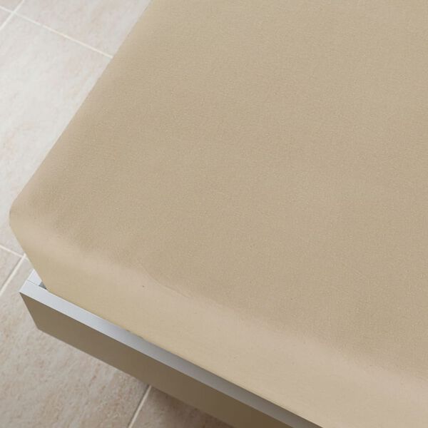 vidaXL &Sigma;&epsilon;&nu;&tau;ό&nu;&iota;&alpha; &mu;&epsilon; &Lambda;ά&sigma;&tau;&iota;&chi;&omicron; 2 &tau;&epsilon;&mu;. Taupe 100x200 &epsilon;&kappa;. &Beta;&alpha;&mu;&beta;&alpha;&kappa;&epsilon;&rho;ό &Zeta;έ&rho;&sigma;&epsilon;ϊ
