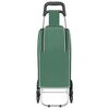 vidaXL Καρότσι Αγορών Πράσινο 39.5 x 33 x 93 εκ Ύφασμα Oxford