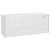 vidaXL Ερμάριο Τοίχου 120 x 40 x 50 εκ. Ανοξείδωτο Ατσάλι