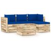 Blue_and_brown
