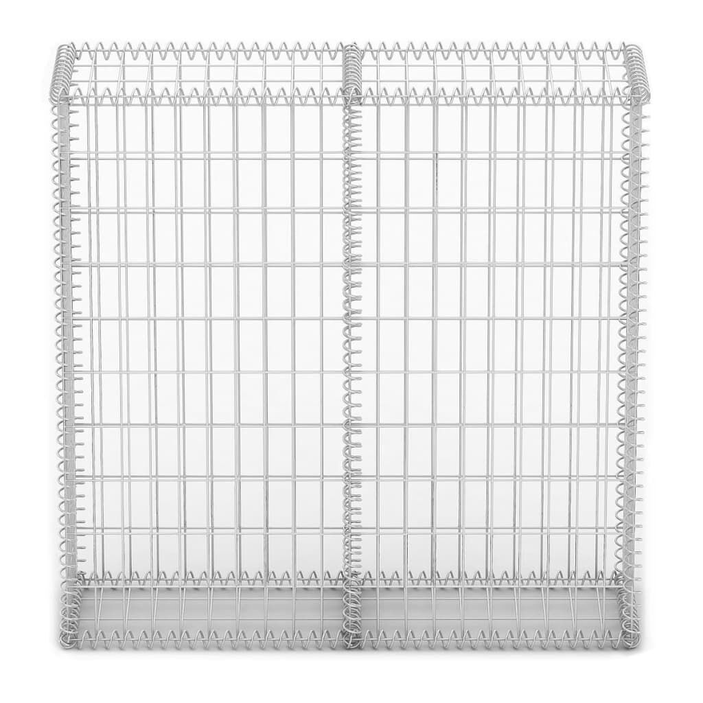 vidaXL Συρματοκιβώτιο 100 x 100 x 30 εκ. Γαλβανισμένο Σύρμα με Καπάκια