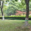 vidaXL Slackline - Ιμάντας Ισορροπίας Πράσινος 15 μ. x 50 χιλ. / 150 κ.