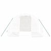 vidaXL Θερμοκήπιο με Ατσάλινο Πλαίσιο Λευκό 6 μ² 3 x 2 x 2 μ.