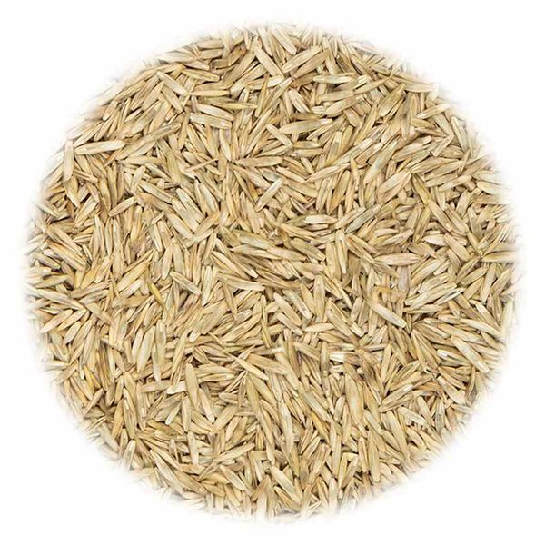 vidaXL Σπόροι Γκαζόν για Αθλητισμό και Παιχνίδι 20 κ.