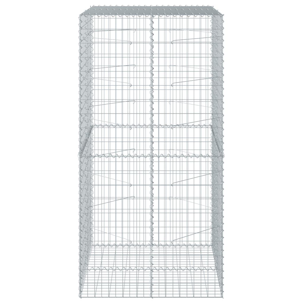vidaXL Συρματοκιβώτιο με Κάλυμμα 100x100x200εκ από Γαλβανισμένο Χάλυβα