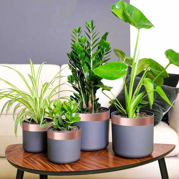 vidaXL Χαλκοταινία Χάλκινο 2000 x 5 εκ Χάλκινο