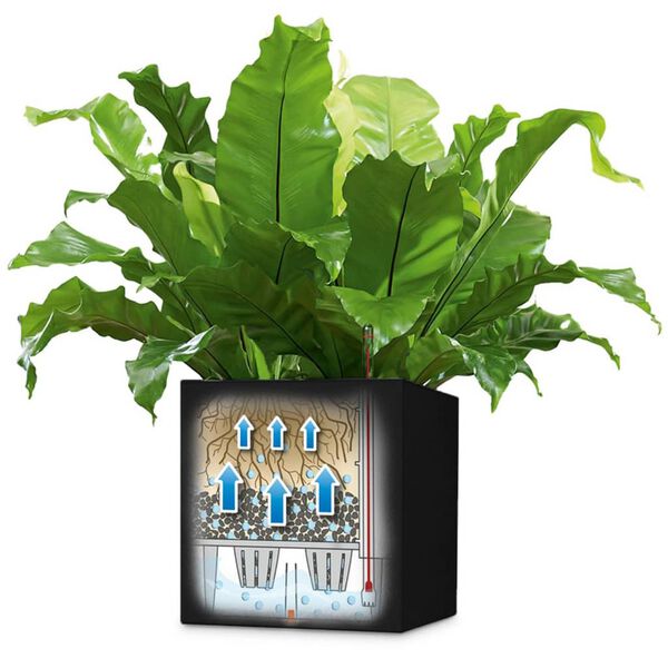 LECHUZA Γλάστρα Canto Color Square 40 ALL-IN-ONE Χρώμα Γραφίτη 13722