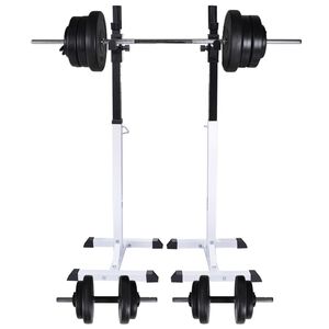 vidaXL &Omicron;&rho;&theta;&omicron;&sigma;&tau;ά&tau;&eta;&sigmaf; &Mu;&pi;ά&rho;&alpha;&sigmaf;/Squat Rack &mu;&epsilon; &Sigma;&epsilon;&tau; &Mu;&pi;ά&rho;&alpha; &kappa;&alpha;&iota; &Alpha;&lambda;&tau;ή&rho;&epsilon;&sigmaf; 60,5 &kappa;.