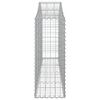 vidaXL Συρματοκιβώτια Τοξωτά 2 τεμ. 200x30x80/100 εκ. Γαλβαν. Ατσάλι