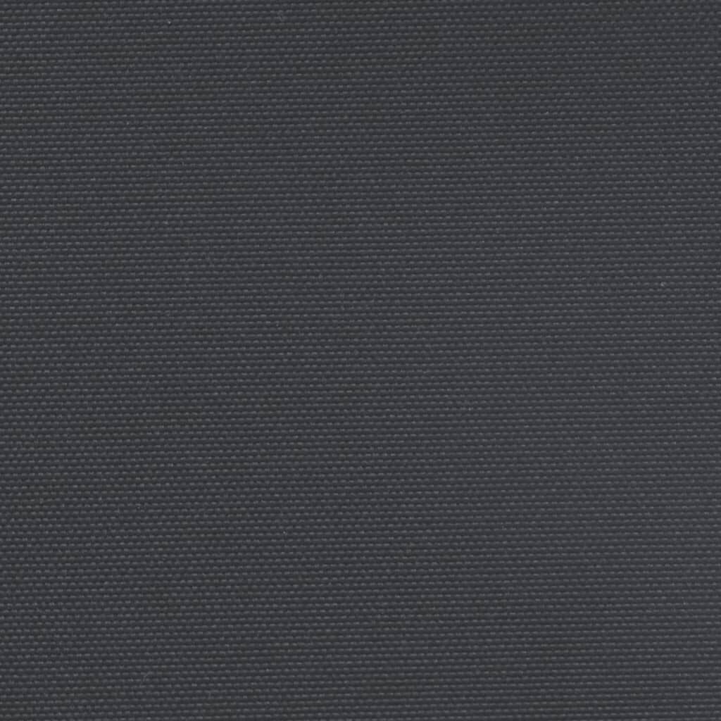 vidaXL Σκίαστρο Πλαϊνό Συρόμενο Μαύρο 200 x 1000 εκ.
