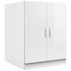 High_gloss_white