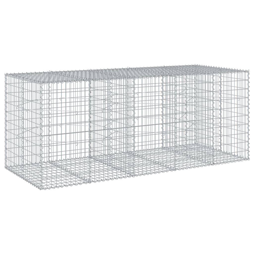 vidaXL Συρματοκιβώτιο με Κάλυμμα 250x100x100εκ από Γαλβανισμένο Χάλυβα