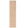 vidaXL &Beta;&epsilon;&nu;&epsilon;&tau;&sigma;&iota;ά&nu;&iota;&kappa;&eta; &Sigma;&kappa;ί&alpha;&sigma;&eta; Ό&psi;&eta; &Delta;&rho;ύ&sigmaf; 65 x 250 cm 35 mm