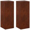 vidaXL &Beta;ά&sigma;&eta; &phi;&upsilon;&tau;ώ&nu; 2 pcs &Sigma;&kappa; rusty 30 x 30 x 80 cm
