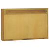 vidaXL Ντουλάπι Καθρέφτη 60 x 10 x 40 εκ. από Μασίφ Ξύλο Teak