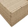 vidaXL Καναπές Κήπου με μαξιλάρι Μπεζ 123 x 62 x 69εκ συνθετικό ρατάν