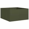 Olive_green