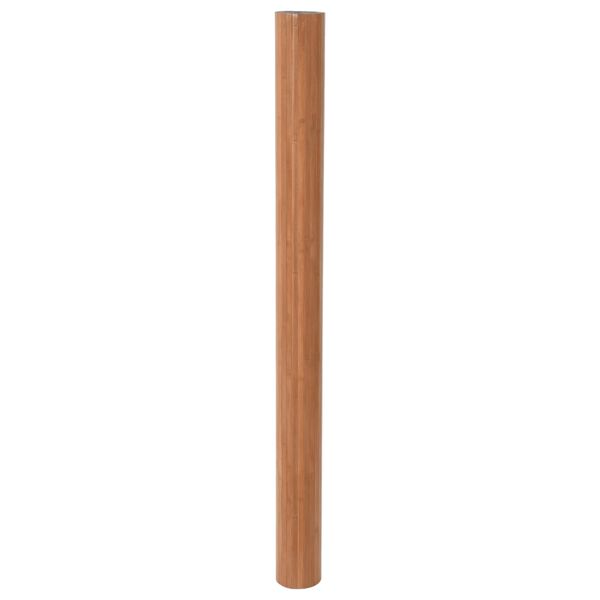 vidaXL Διαχωριστικό Δωματίου Καφέ 165 x 400 εκ. από Μπαμπού