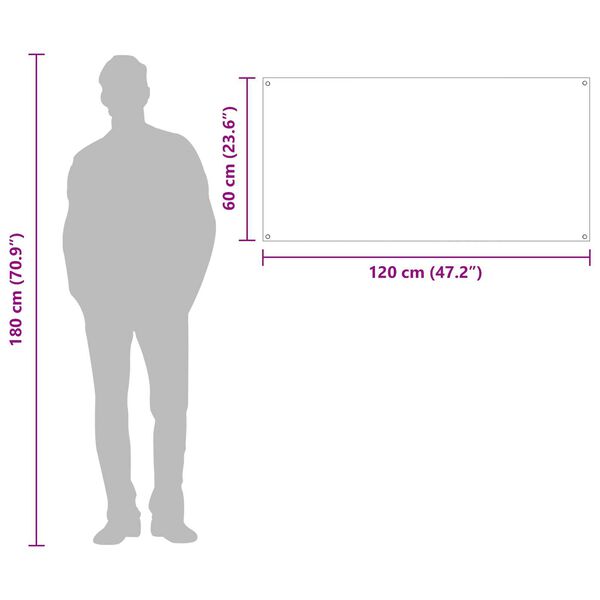 vidaXL Διάφανος Πίσω Τοίχος Κουζίνας 120x60x0,6 εκ Γυαλί Ανθεκτικό