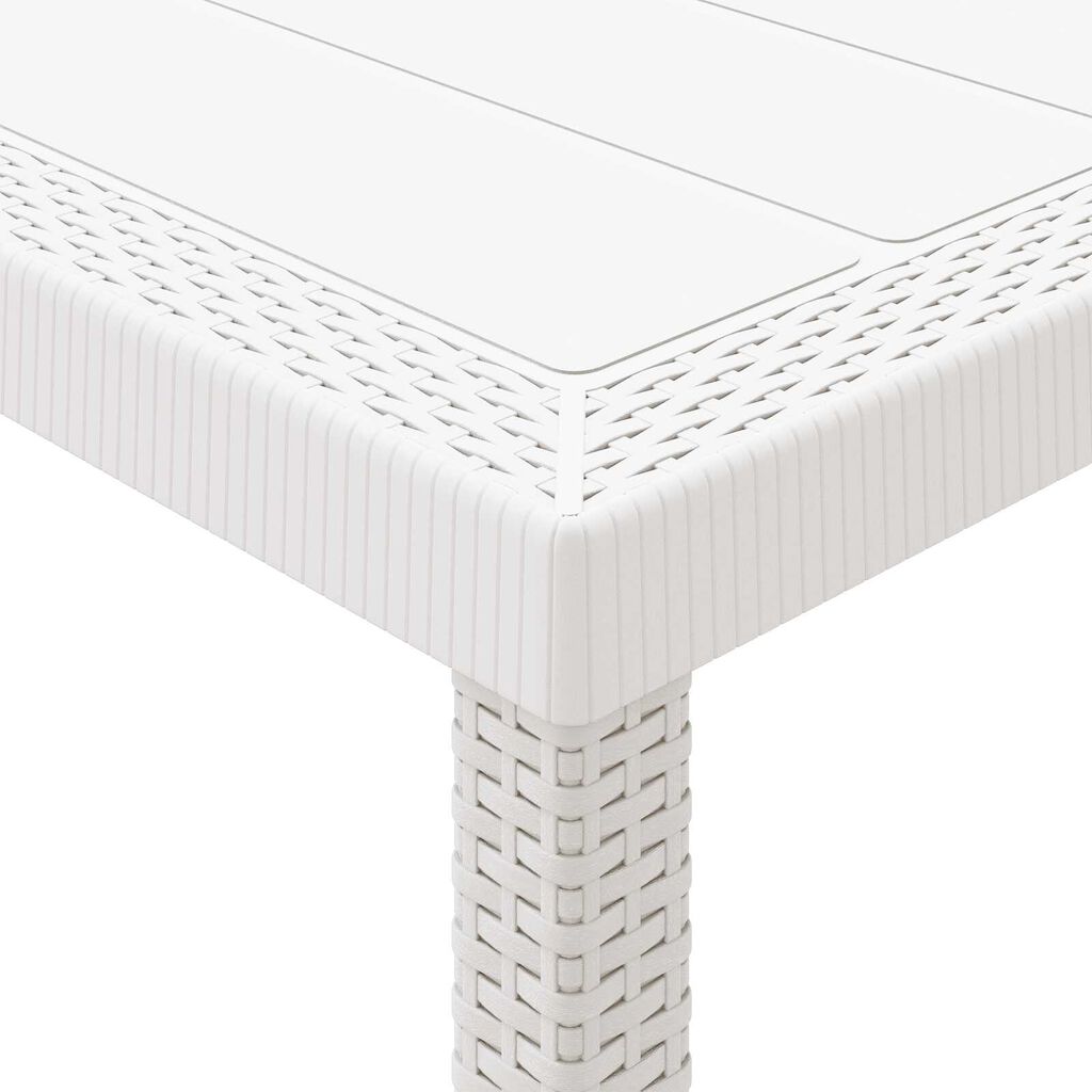 vidaXL Τραπέζι Κήπου Λευκό 300x100x73 cm Πολυ Ρατάν