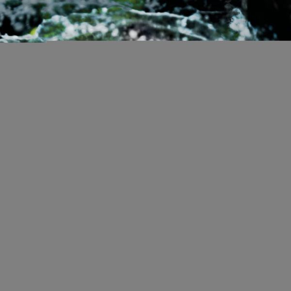 Intex Σιντριβάνι Πισίνας LED από Πολυπροπυλένιο 28089