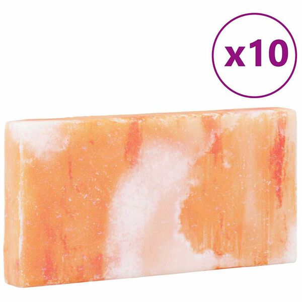 vidaXL Πέτρες Αλατιού 10 pcs Ροζ 20 x 2.5 x 10 εκ. Πέτρες