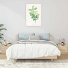 vidaXL &Kappa;&omicron;&mu;&omicron;&delta;ί&nu;&alpha; 2 &tau;&epsilon;&mu;. Sonoma &Delta;&rho;&upsilon;&sigmaf; 40 x 39 x 40 &epsilon;&kappa;.