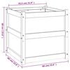 vidaXL Ζαρντινιέρα 60 x 60 x 60 εκ. από Εμποτισμένο Ξύλο Πεύκου