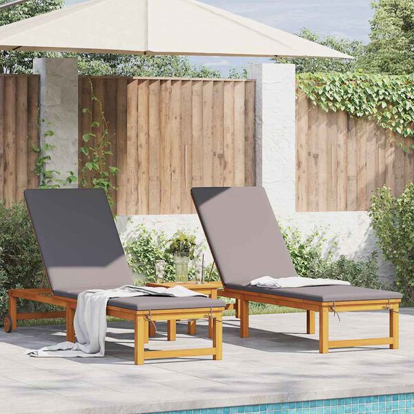 vidaXL Ξαπλώστρα 2 pcs Καφέ 53 x 202 x 89εκ Μασίφ ξύλο ακακίας