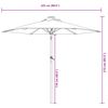 Thumbnail &Pi;&rho;&omicron;ϊό&nu;&tau;&omicron;&sigmaf; 12 &alpha;&pi;ό 12