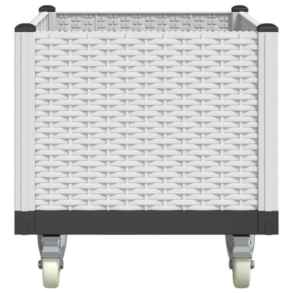 vidaXL &Zeta;&alpha;&rho;&nu;&tau;&iota;&nu;&iota;έ&rho;&alpha; &Kappa;ή&pi;&omicron;&upsilon; &mu;&epsilon; &Rho;&omicron;&delta;ά&kappa;&iota;&alpha; &Lambda;&epsilon;&upsilon;&kappa;ό 80x50x54 &epsilon;&kappa;. &Pi;&omicron;&lambda;&upsilon;&pi;&rho;&omicron;&pi;&upsilon;&lambda;έ&nu;&iota;&omicron;