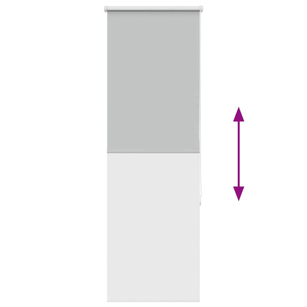 vidaXL Ρολέρ Μπλακάουτ ανοιχτό γκρι 60x130 cm Πλάτος υφάσματος 55,7cm