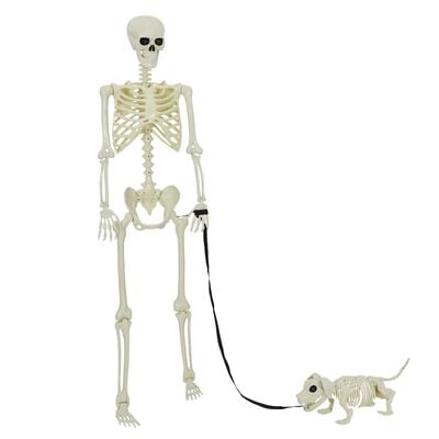 Σετ 2 σκελετών Halloween λευκό 155 x 38,5 cm