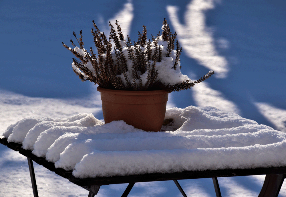 Get your garden ready for winter