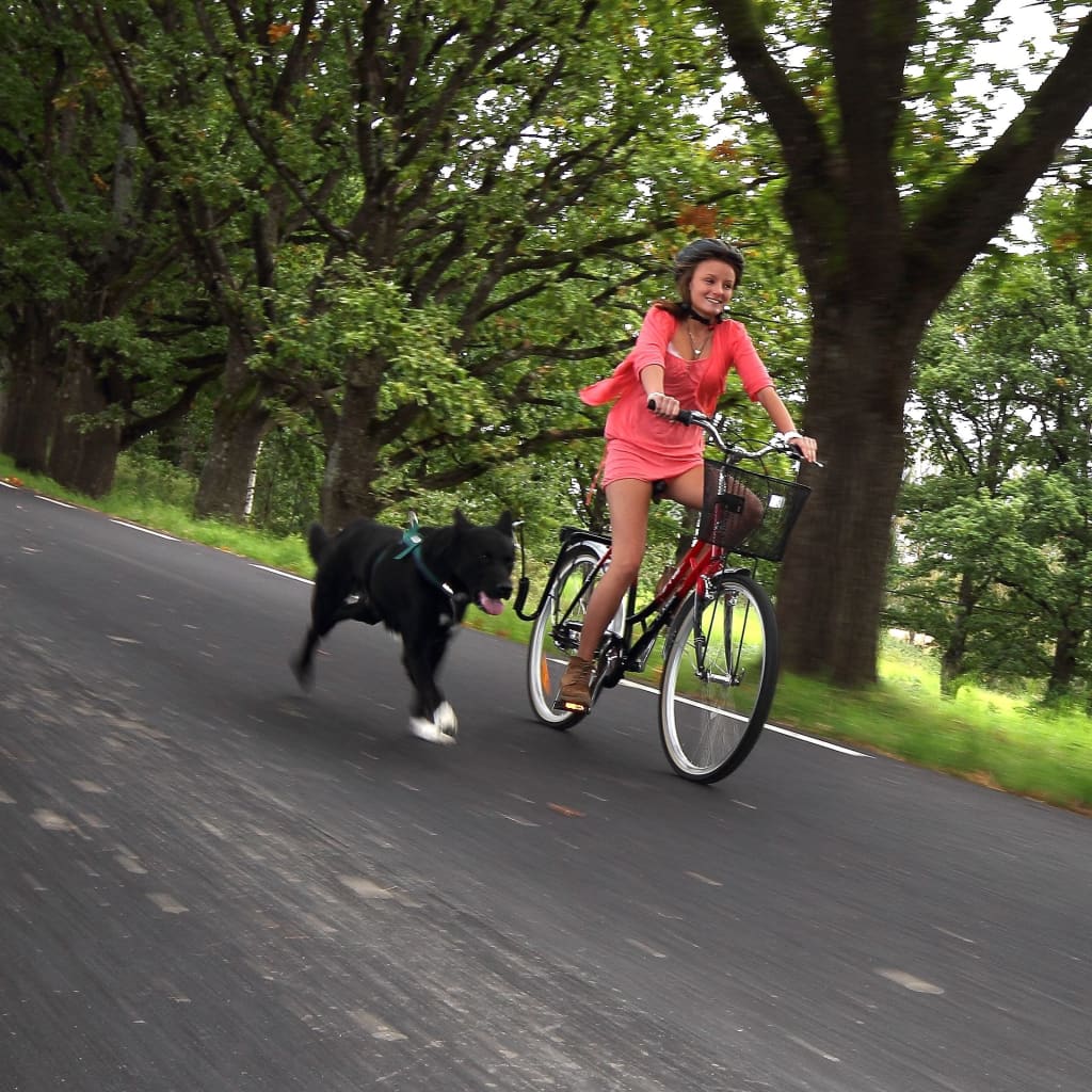 SPRINGER Κιτ Άσκησης Σκύλου Ποδηλάτου