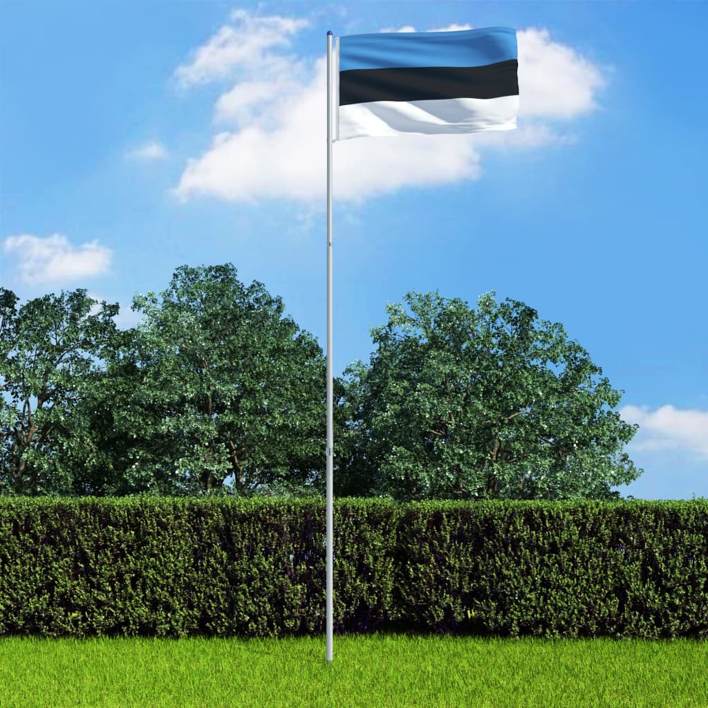 vidaXL Σημαία Εσθονίας 6 μ. με Ιστό Αλουμινίου