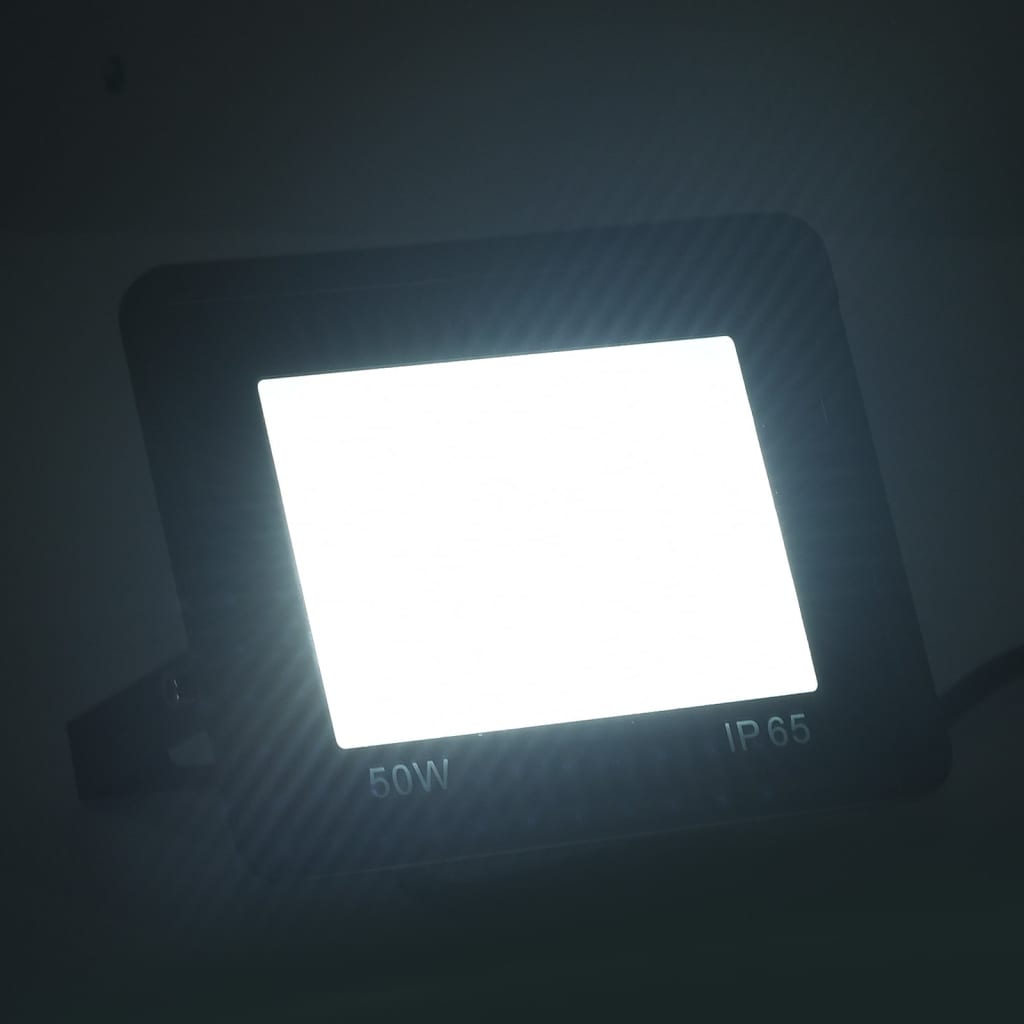 vidaXL Προβολείς LED 2 τεμ. Ψυχρό Λευκό 50 W