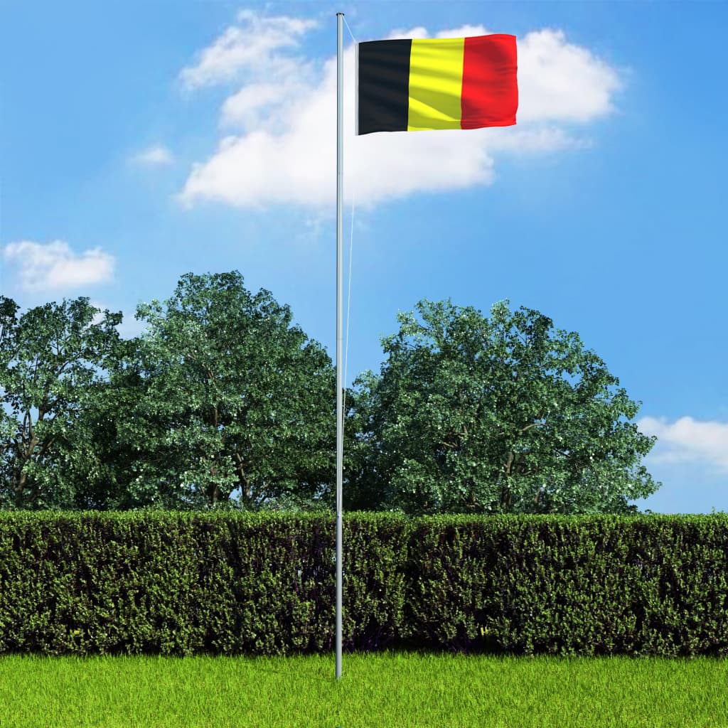 vidaXL Σημαία Βελγίου 6,2 μ. με Ιστό Αλουμινίου