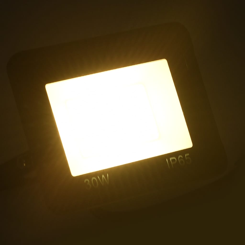 vidaXL Προβολείς LED 2 τεμ. Θερμό Λευκό 30 W