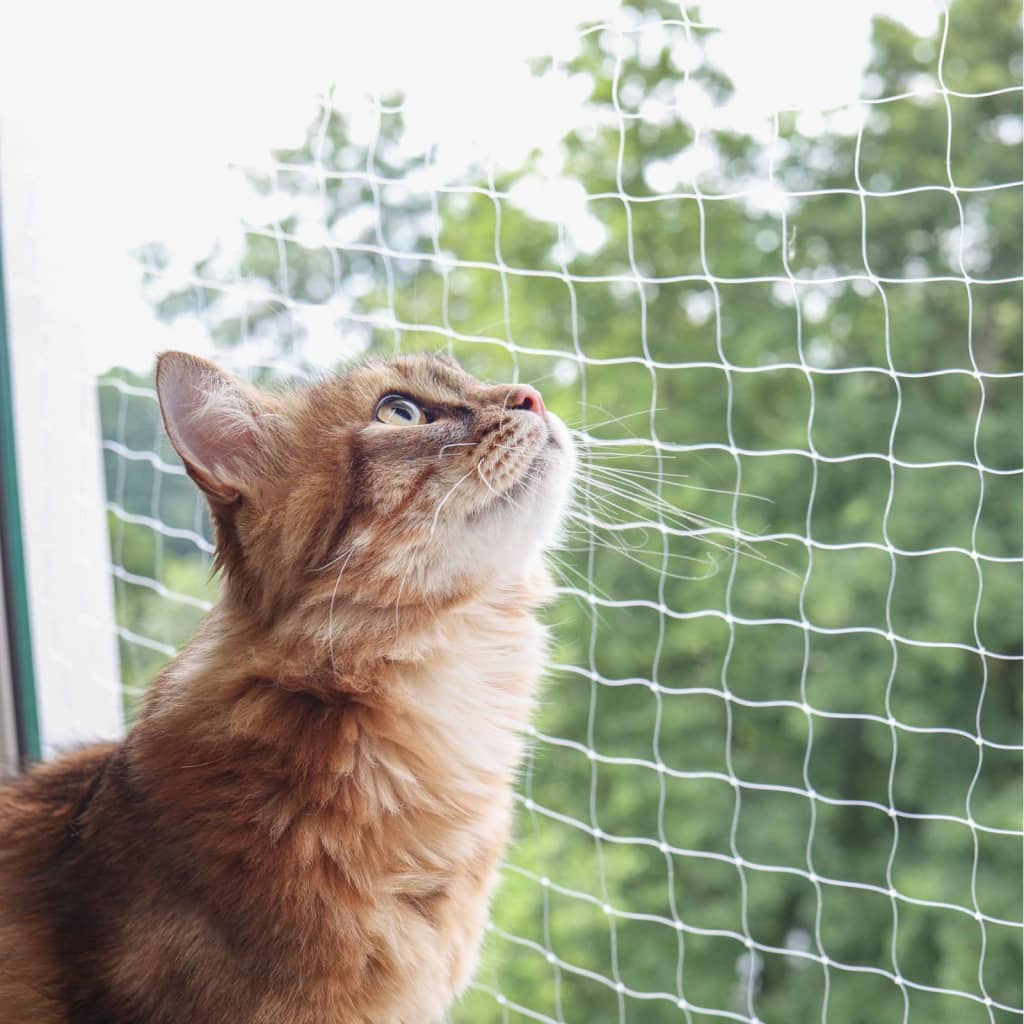 Kerbl Δίχτυ Προστασίας για Γάτες 4 x 3 μ. Διαφανές