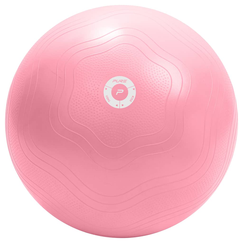 Pure2Improve Μπάλα Γυμναστικής Ροζ 65 εκ.